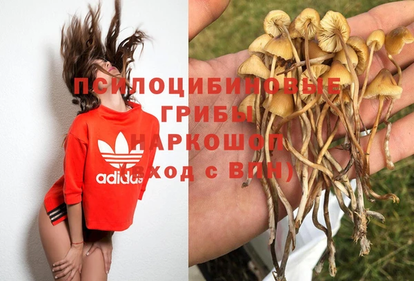 эйфоретик Медвежьегорск