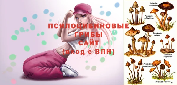 марки lsd Арсеньев
